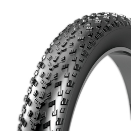 391309 REXWAY Pneu 20 pouces Fatbike 20 x 4.00 (102-406)
