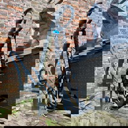 419173 PRO-TECT Kettingslot bakfiets Cubic ART 2 180 cm x 9 mm